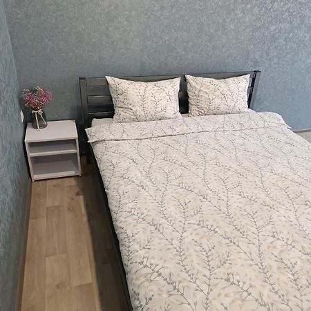 Две Уютные Квартиры В Центре Города Дзержинка - New Apartments Kryvyi Rih Dış mekan fotoğraf